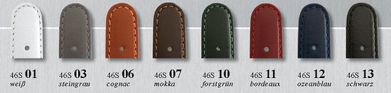 watchband with clasp